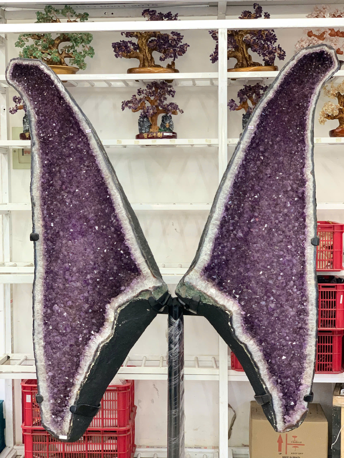 Hốc Thạch Anh Tím Cánh Bướm 2A ( TL: 328.3kg )