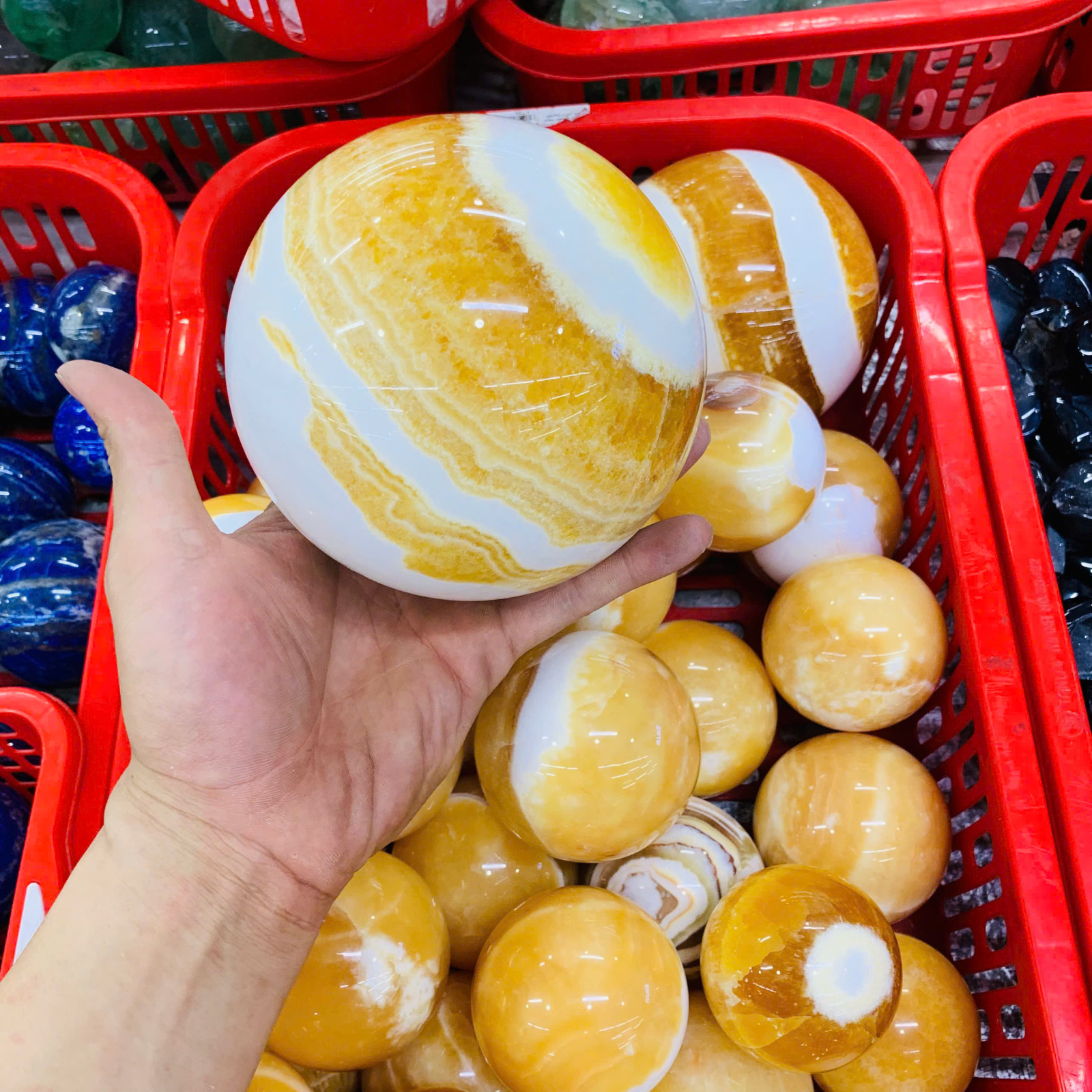 Cầu Ngọc Hoàng Long ( Cancit ) size 10cm ( 1kg )