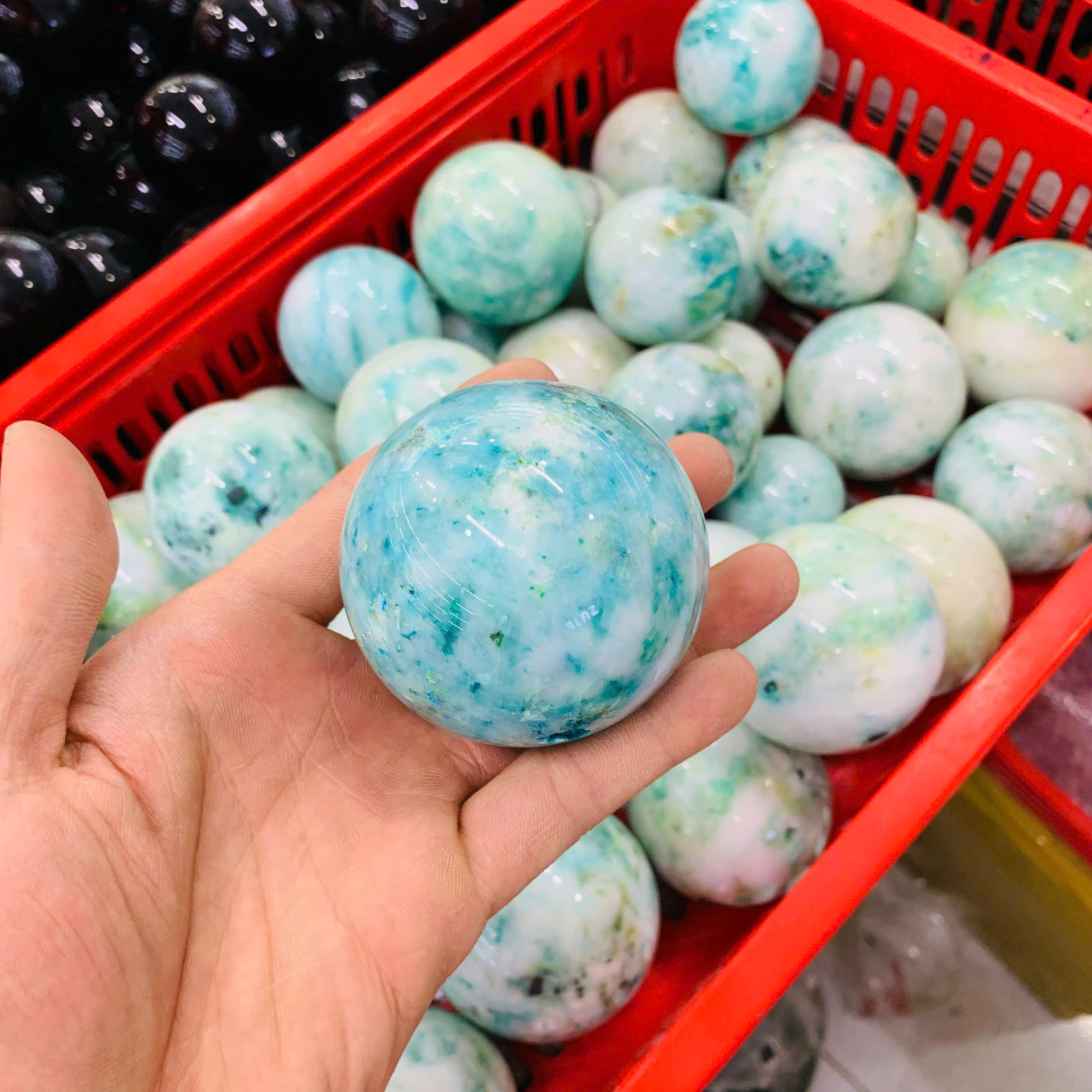 Bi Cầu Phoenix size 5 -10cm ( 1kg )