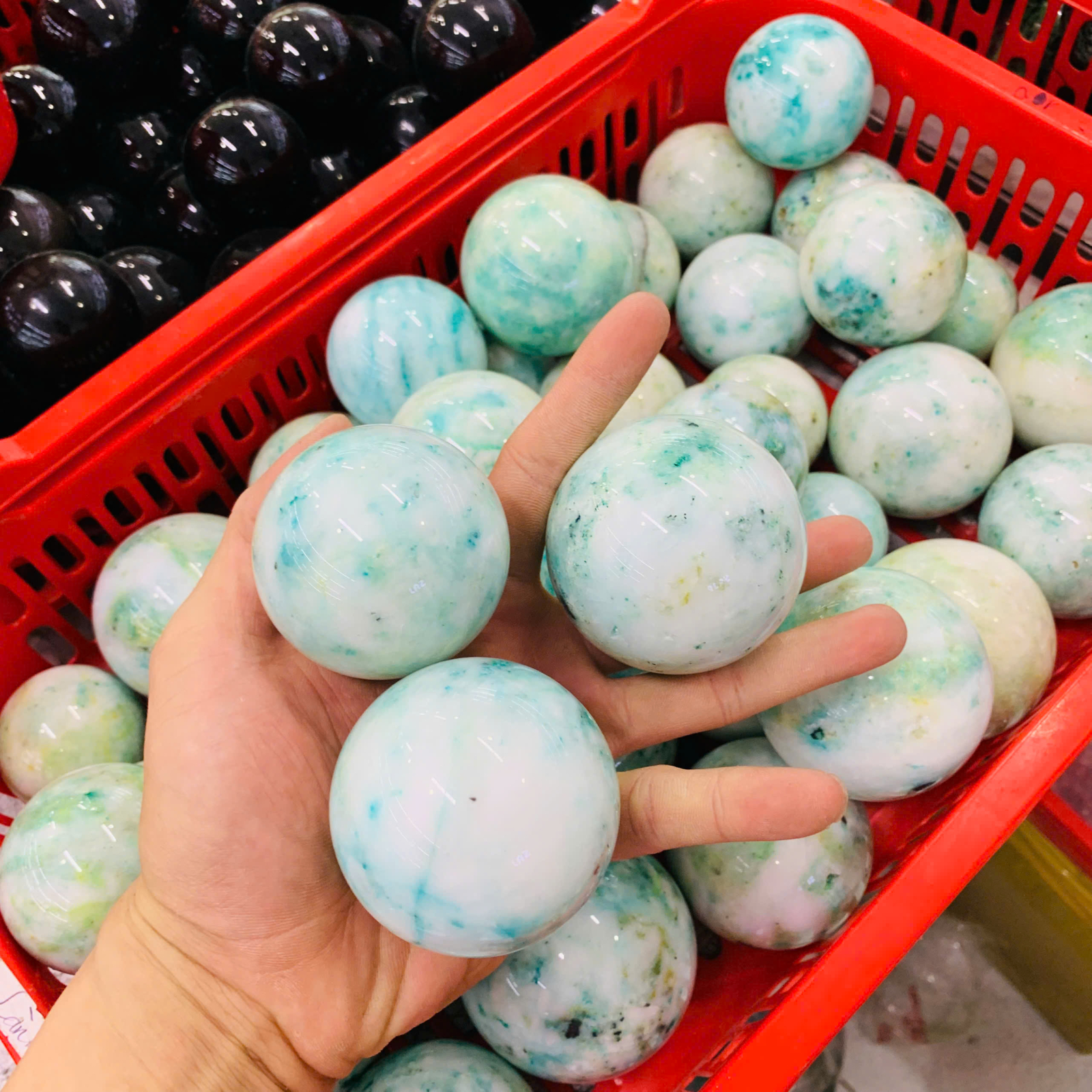 Bi Cầu Phoenix size 5 -10cm ( 1kg )