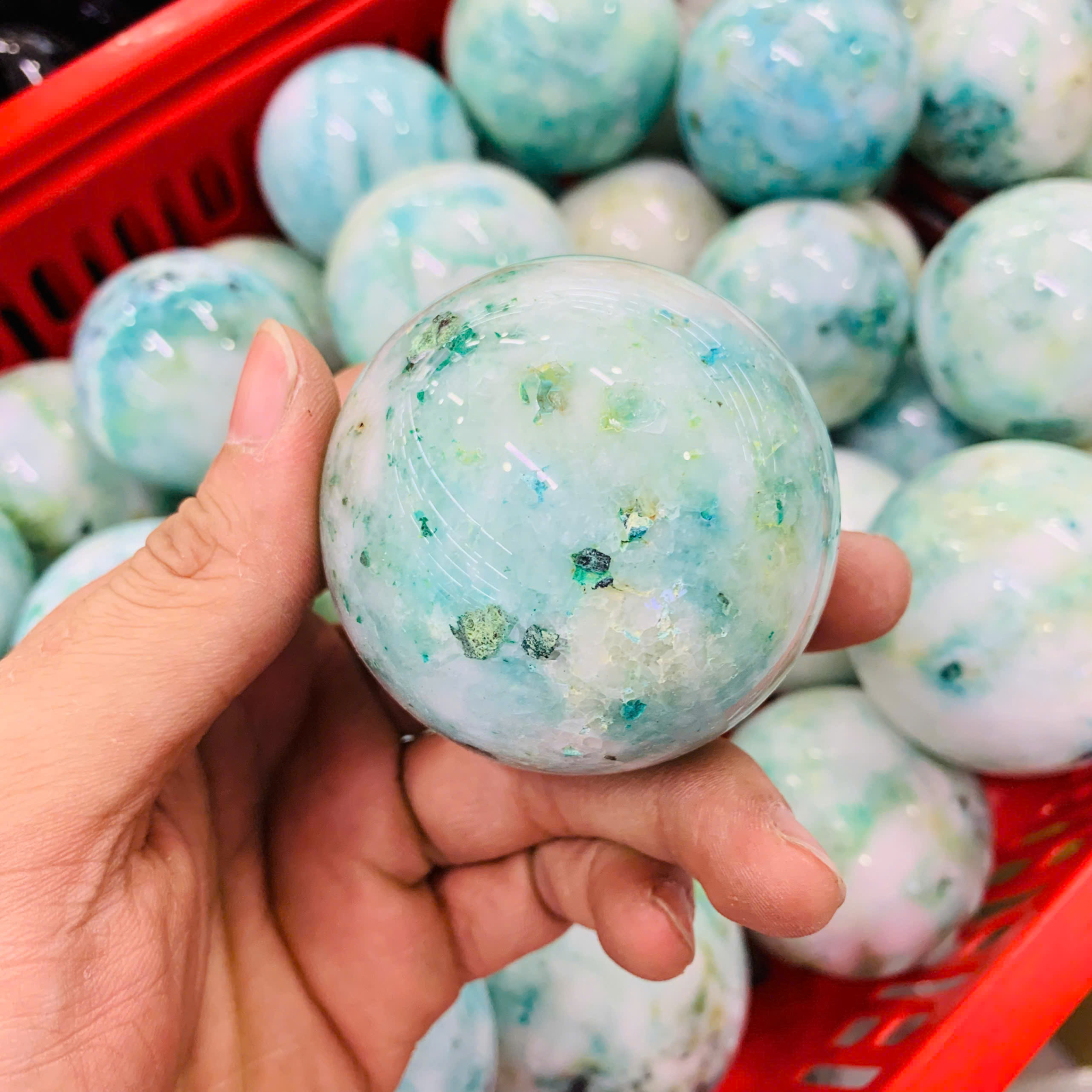 Bi Cầu Phoenix size 5 -10cm ( 1kg )