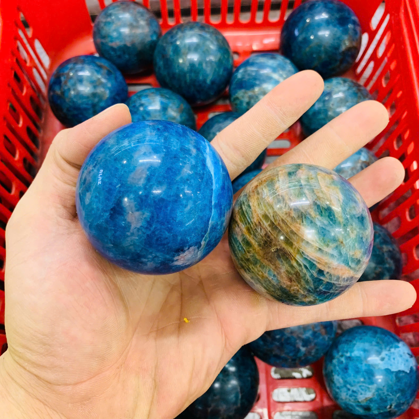 Bi Cầu Apatite size 5-10cm ( 1kg )