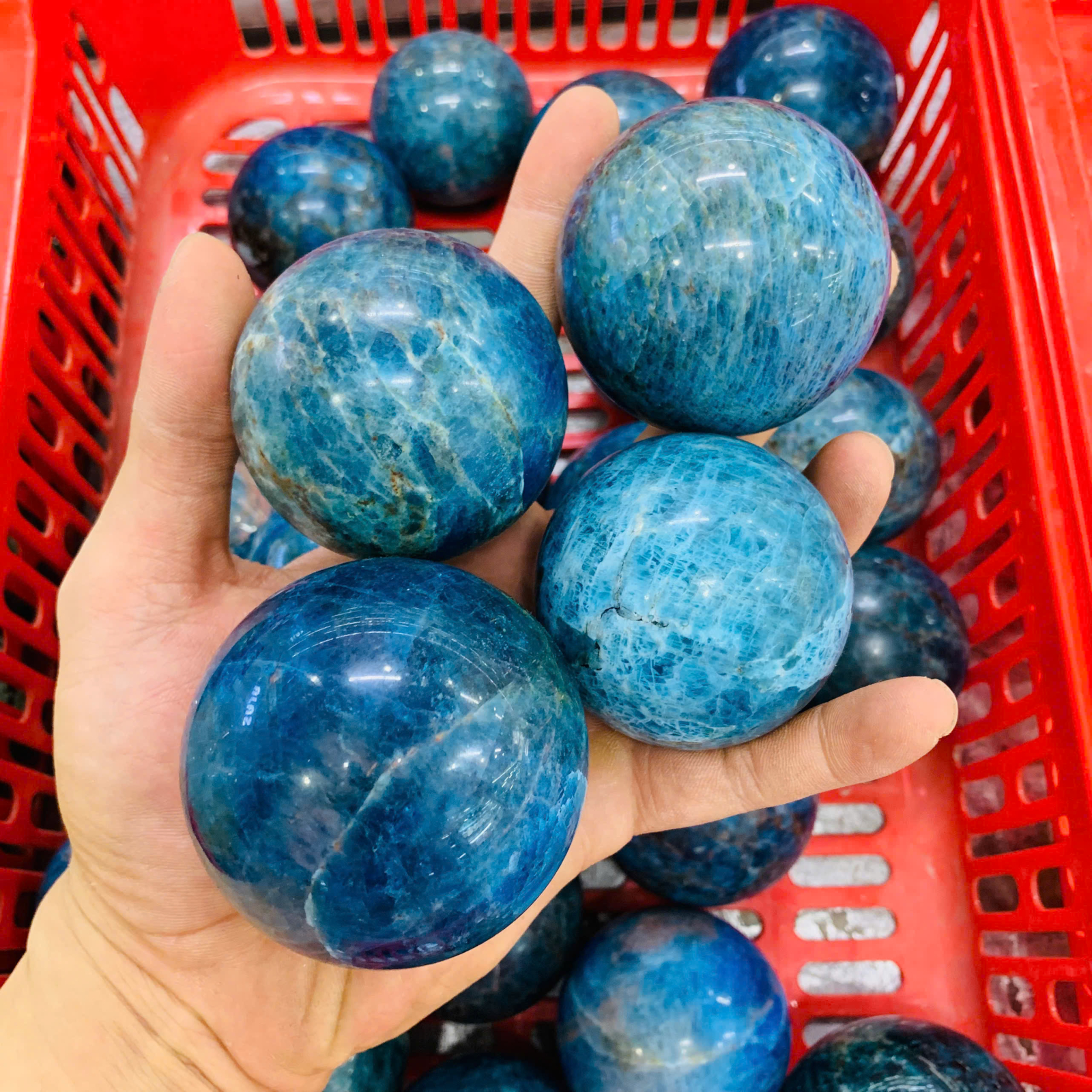 Bi Cầu Apatite size 5-10cm ( 1kg )