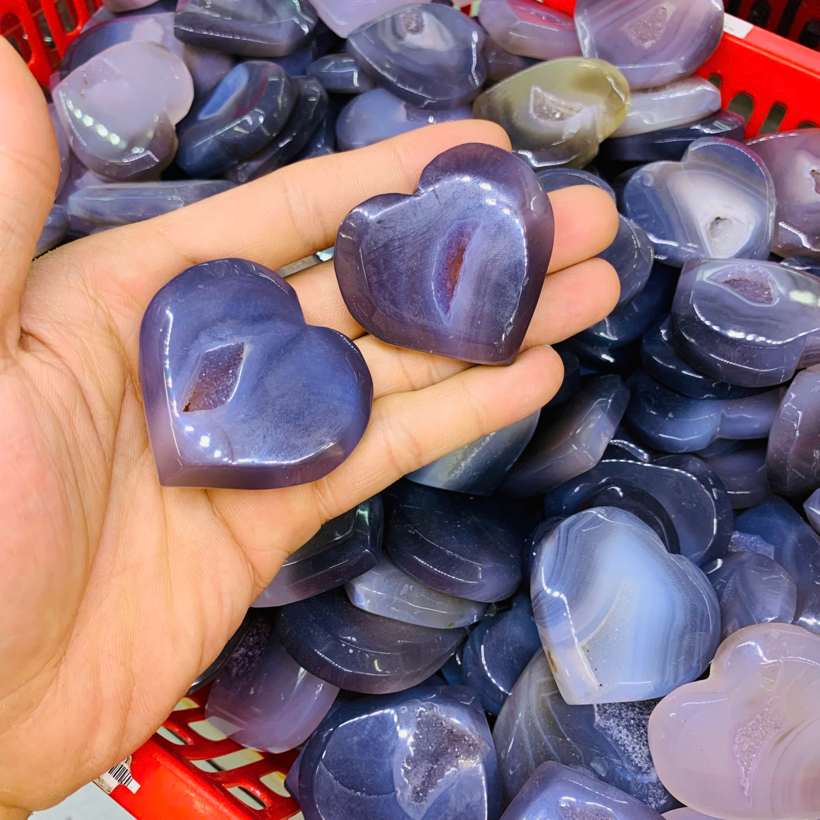 Tim Mã Não 2A ( 1kg )