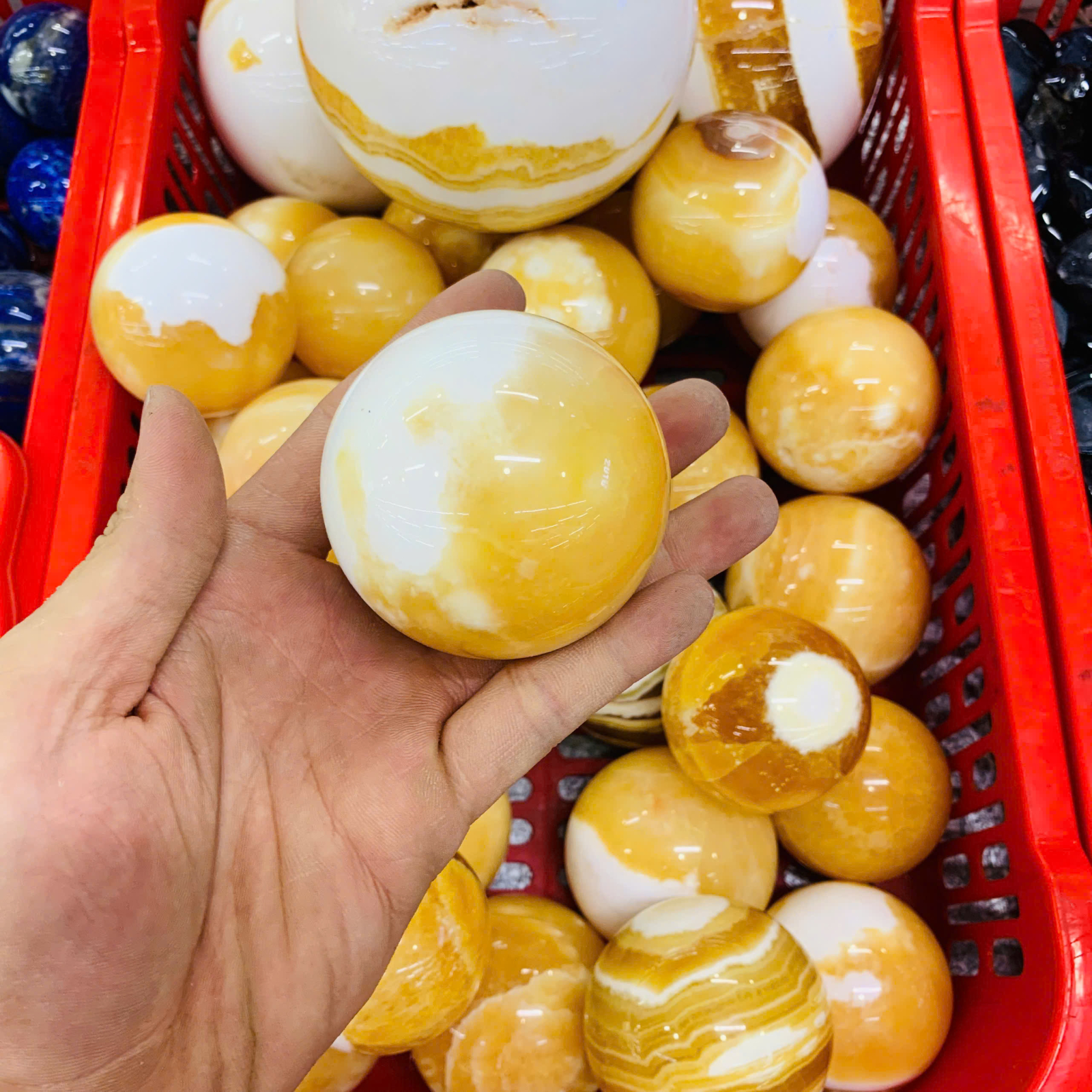 Bi Cầu Ngọc Hoàng Long ( Cancit ) size 5-7cm ( 1kg )