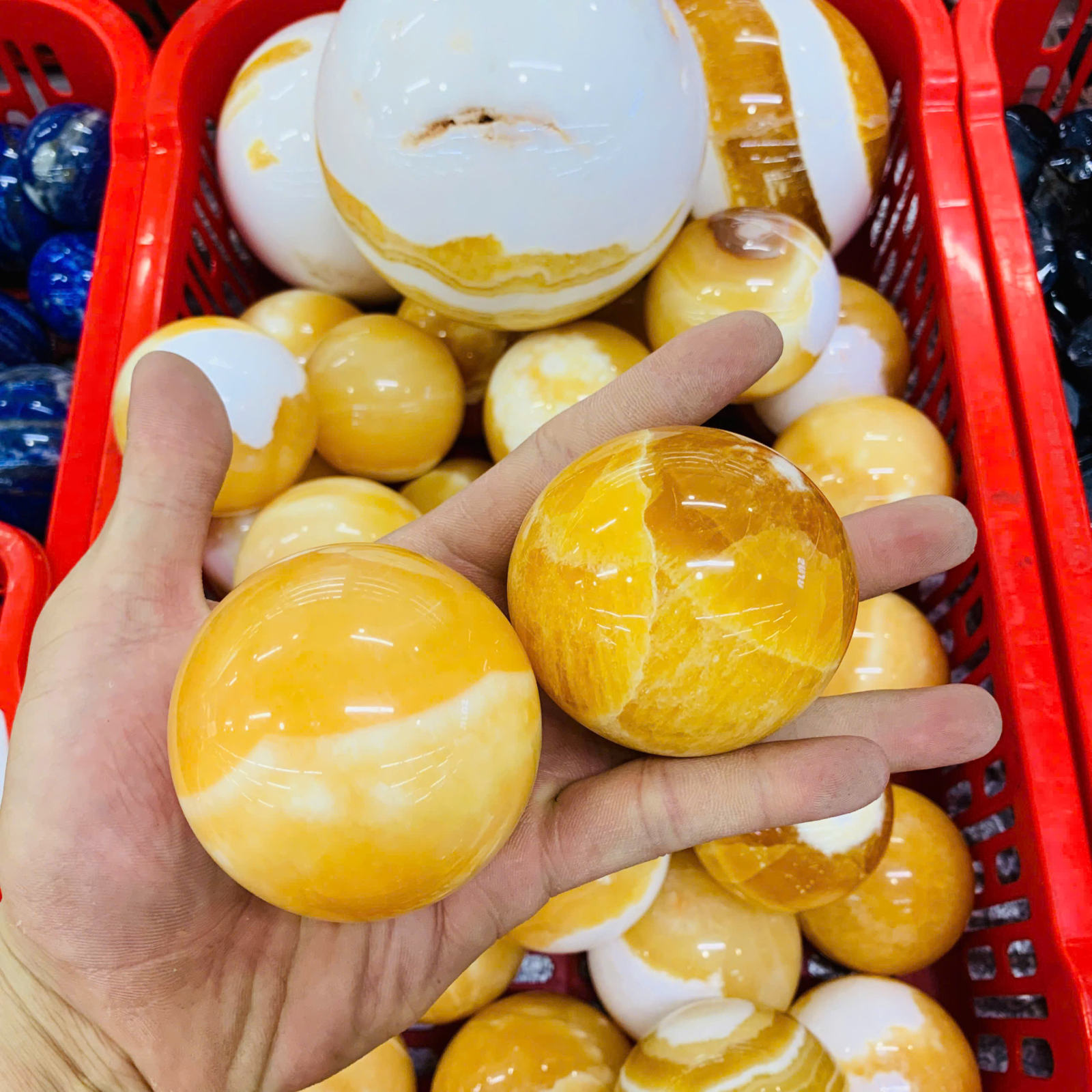 Bi Cầu Ngọc Hoàng Long ( Cancit ) size 5-7cm ( 1kg )