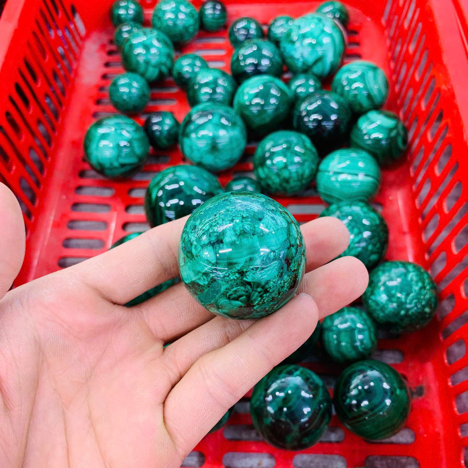 Bi Cầu Lông Công size 3-5cm ( 1kg )