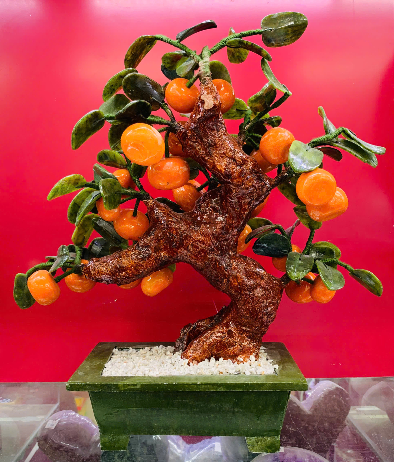 Cây Quýt Đá Mable